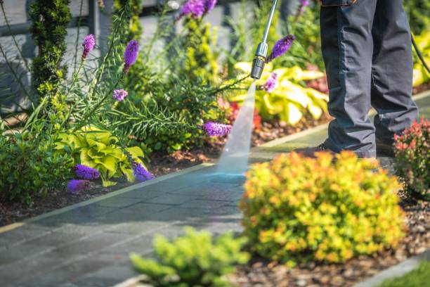 Best Sidewalk and Walkway Cleaning  in Frankston, TX